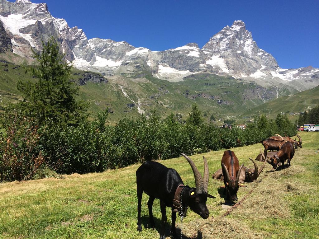 Hotel Mignon Breuil-Cervinia Exterior photo